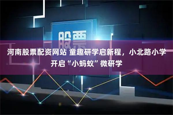 河南股票配资网站 童趣研学启新程，小北路小学开启“小蚂蚁”微研学